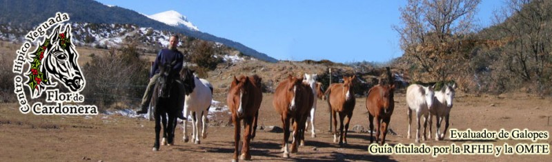 Yeguada Flor de Cardonera