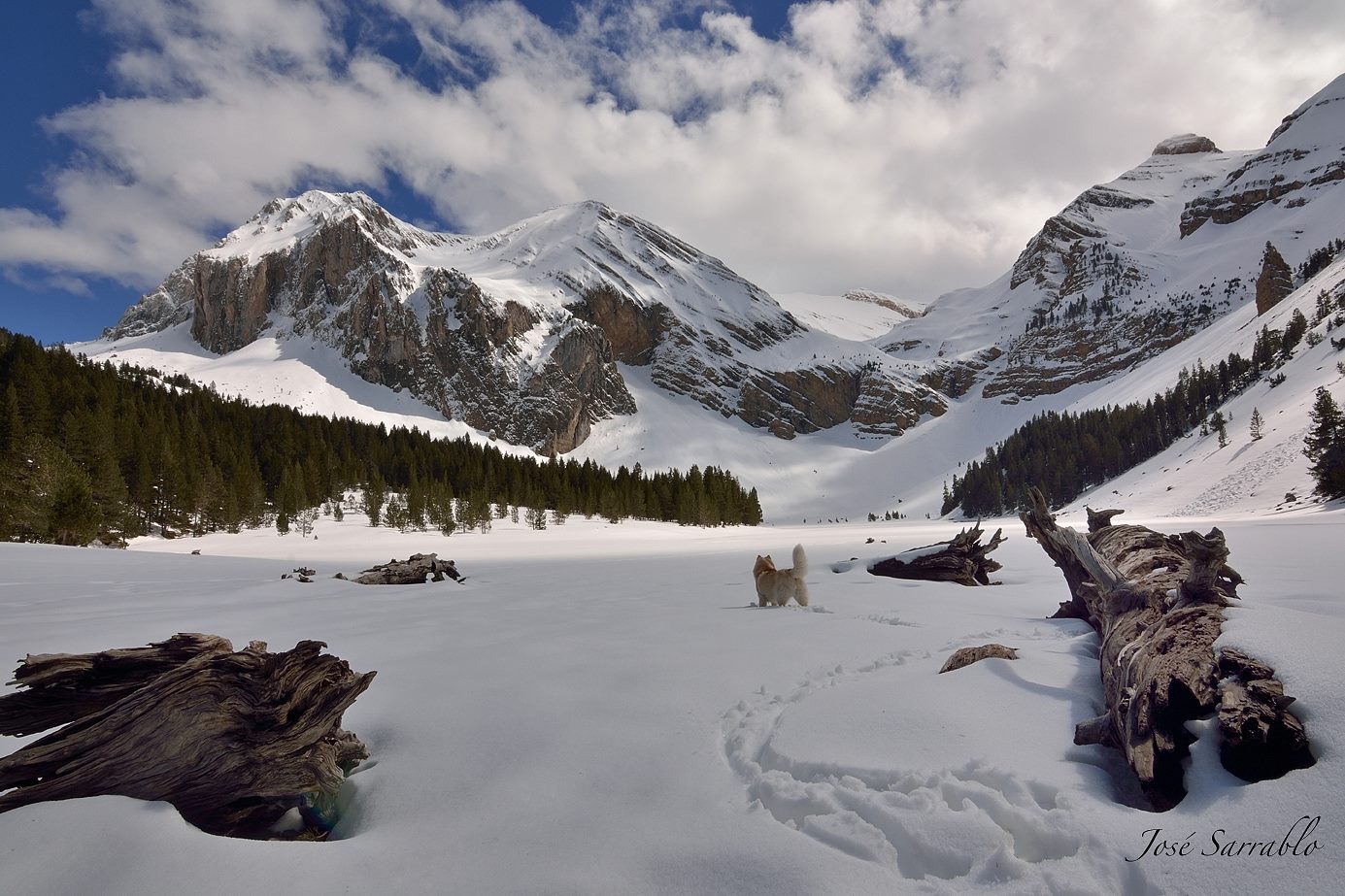 ibon-de-plan-sarrablo