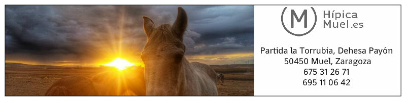 BANNER HIPICA MUEL