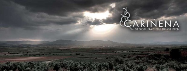 do-carinena-vinos