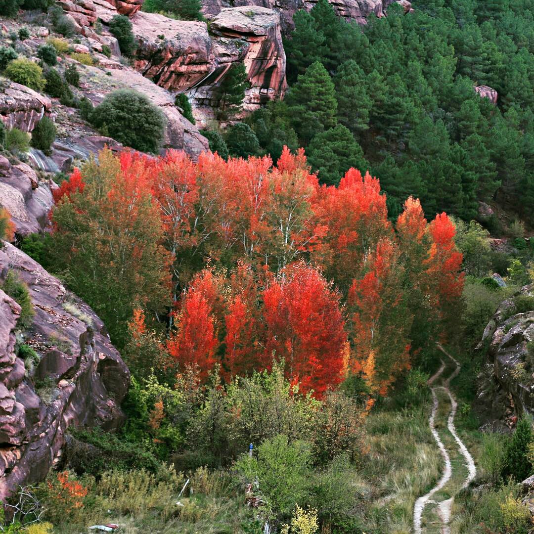 albarracinlove-1477393141432