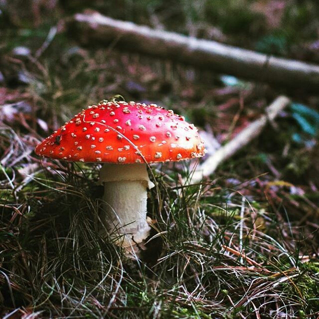 albarracinlove-1477399047772