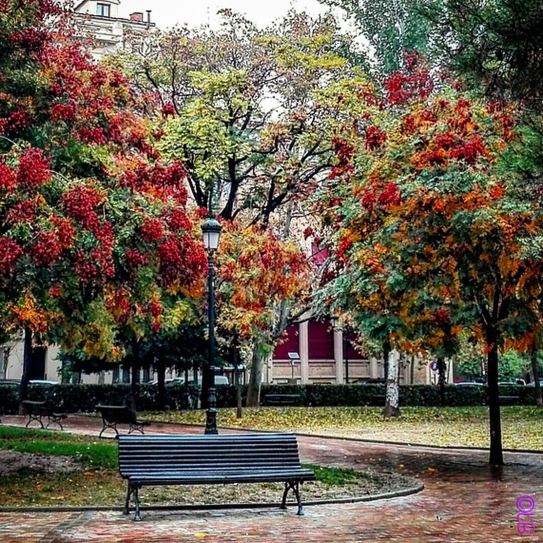 carlinaburanazgz-1477426035960