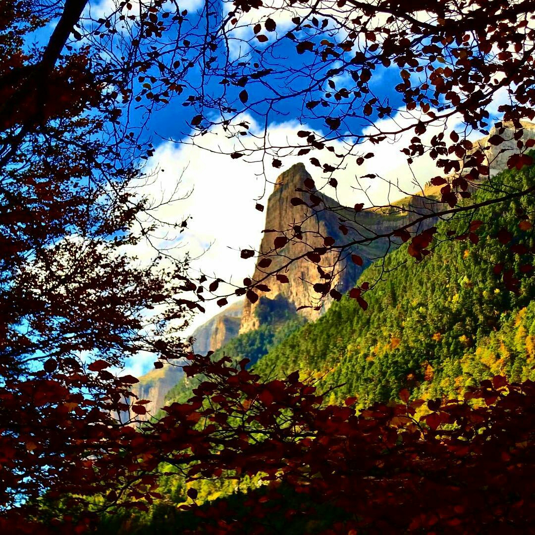 cruzfuentevilla-1477427971445