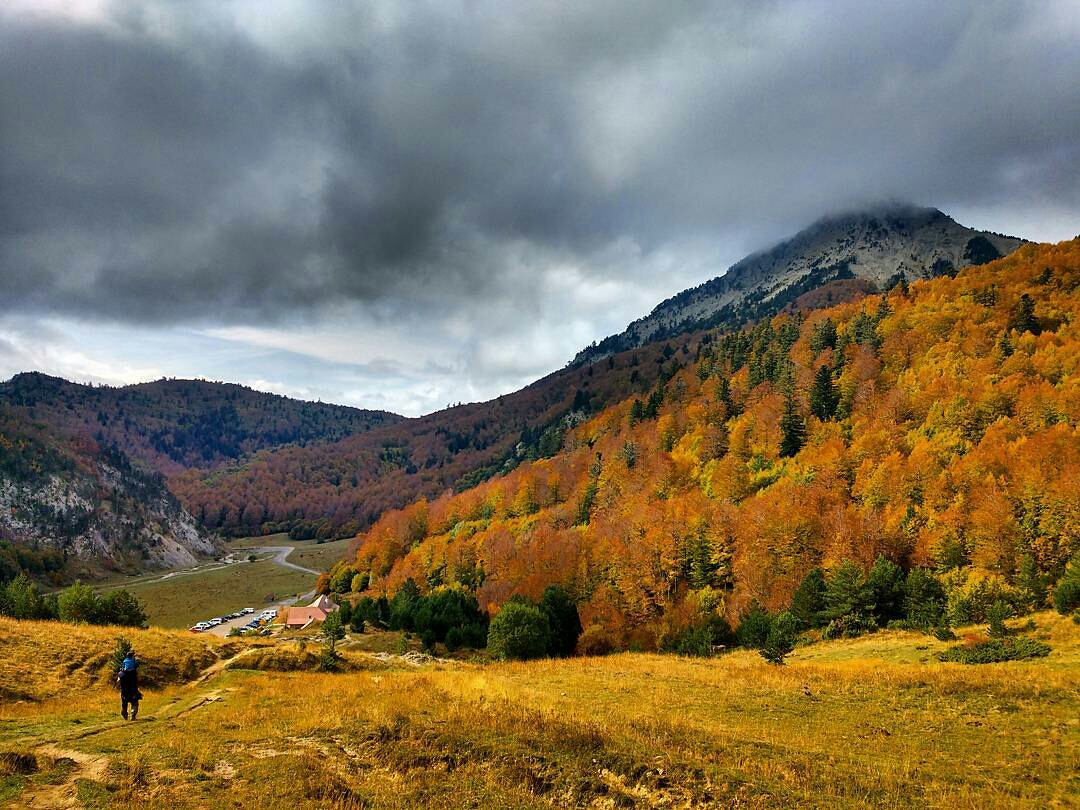 damadelnorte-1477399101599