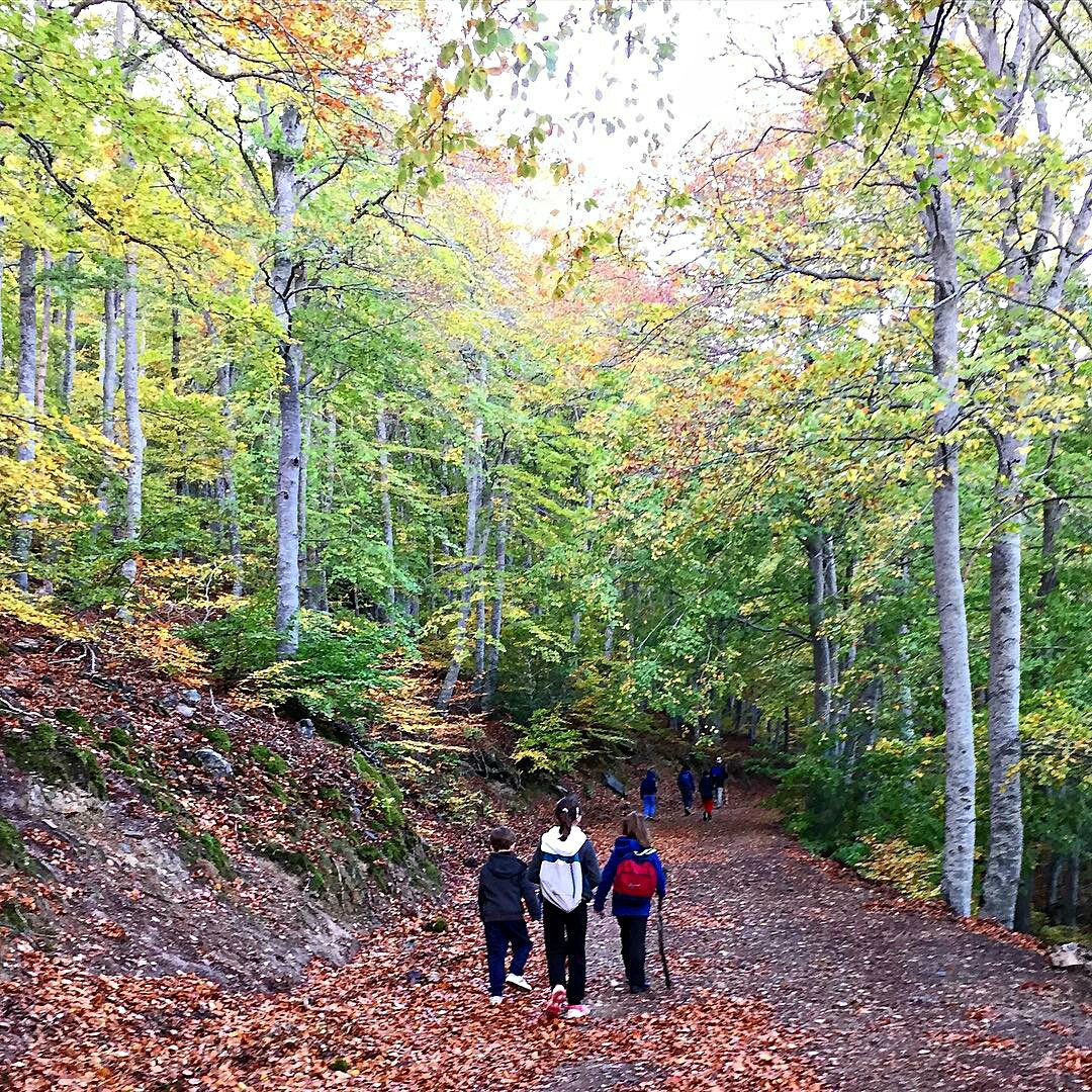 hisesteban-1477393354774