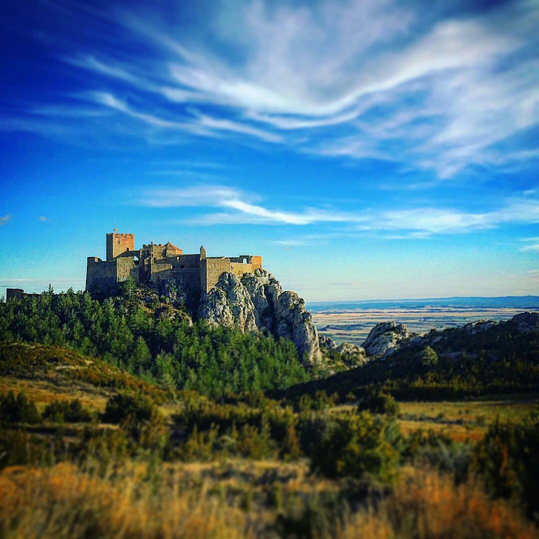 james_tyrrell_-1477495330182