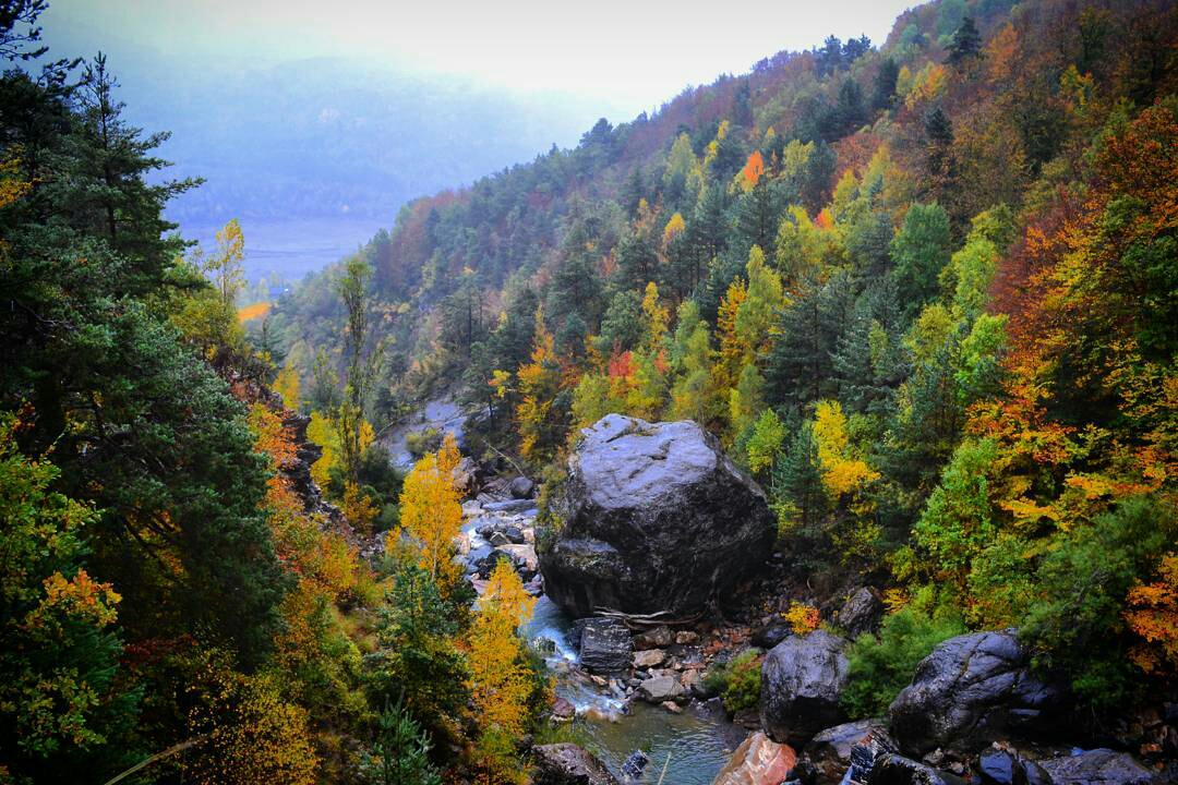 jorgechu848-1477399485349