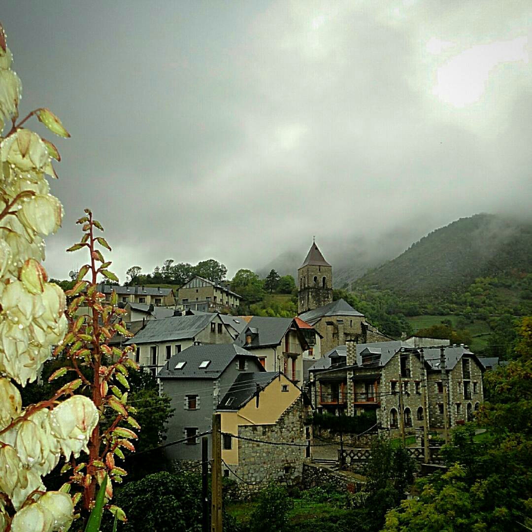 kaluchico-1477427485182