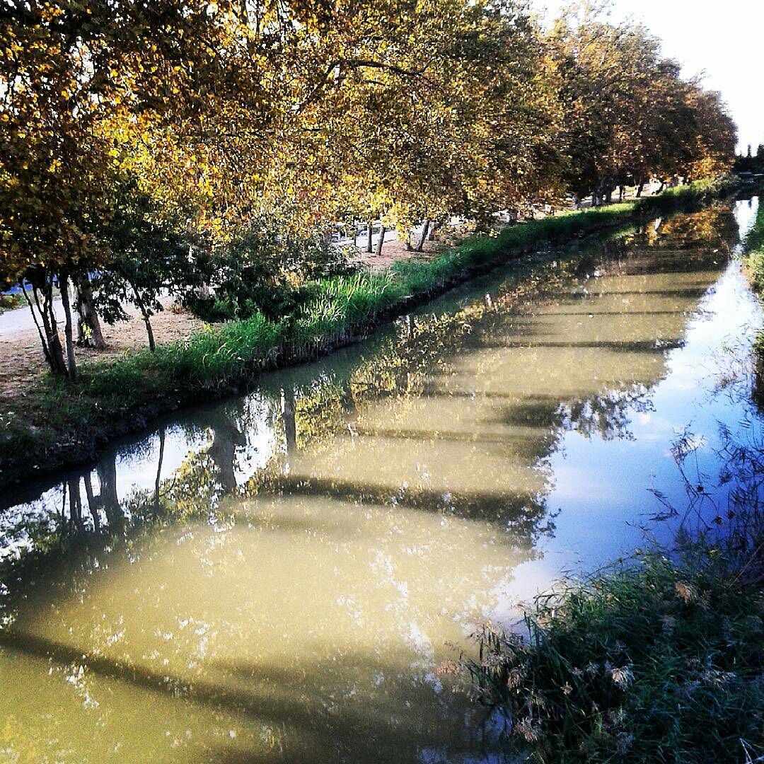 marfyc-1477394911781