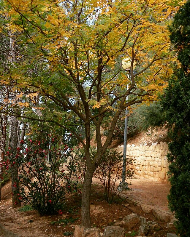 missholmes221b-1477482706540