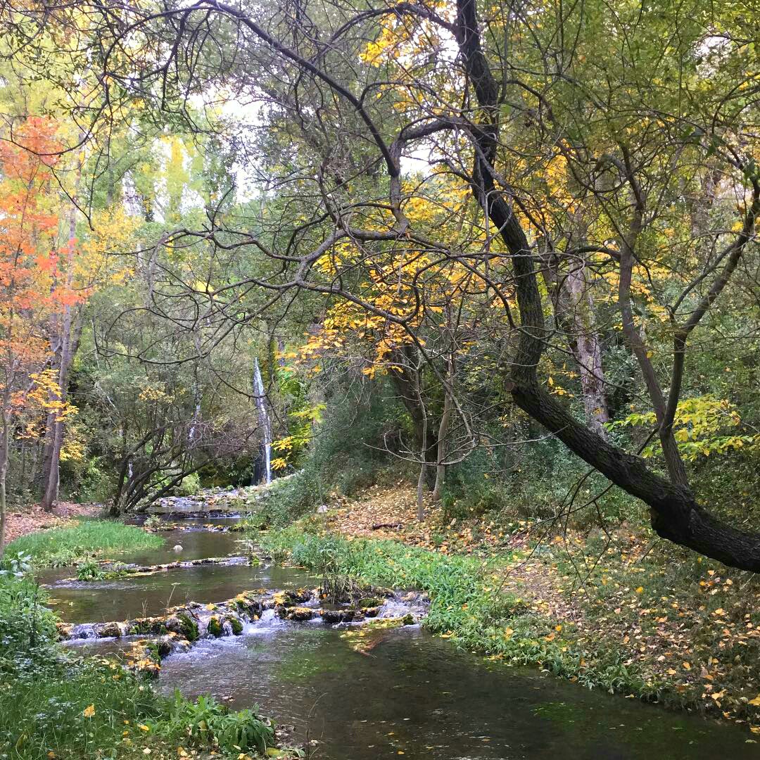 setmeravelles-1477482589745