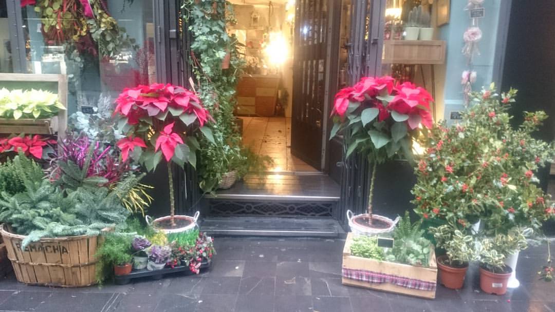 vicky-alfonso-el-jardin-de-paula