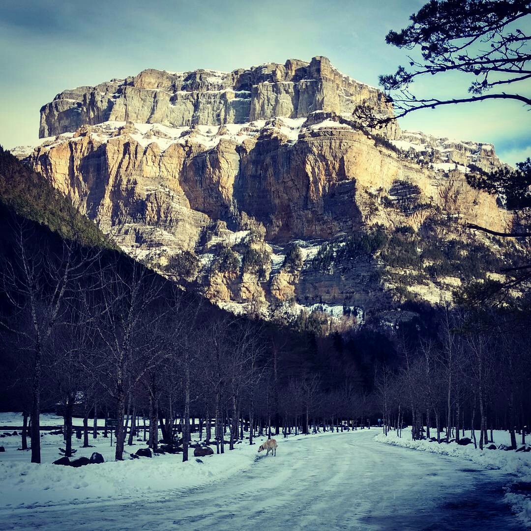 a-rosandi9-1484916822563