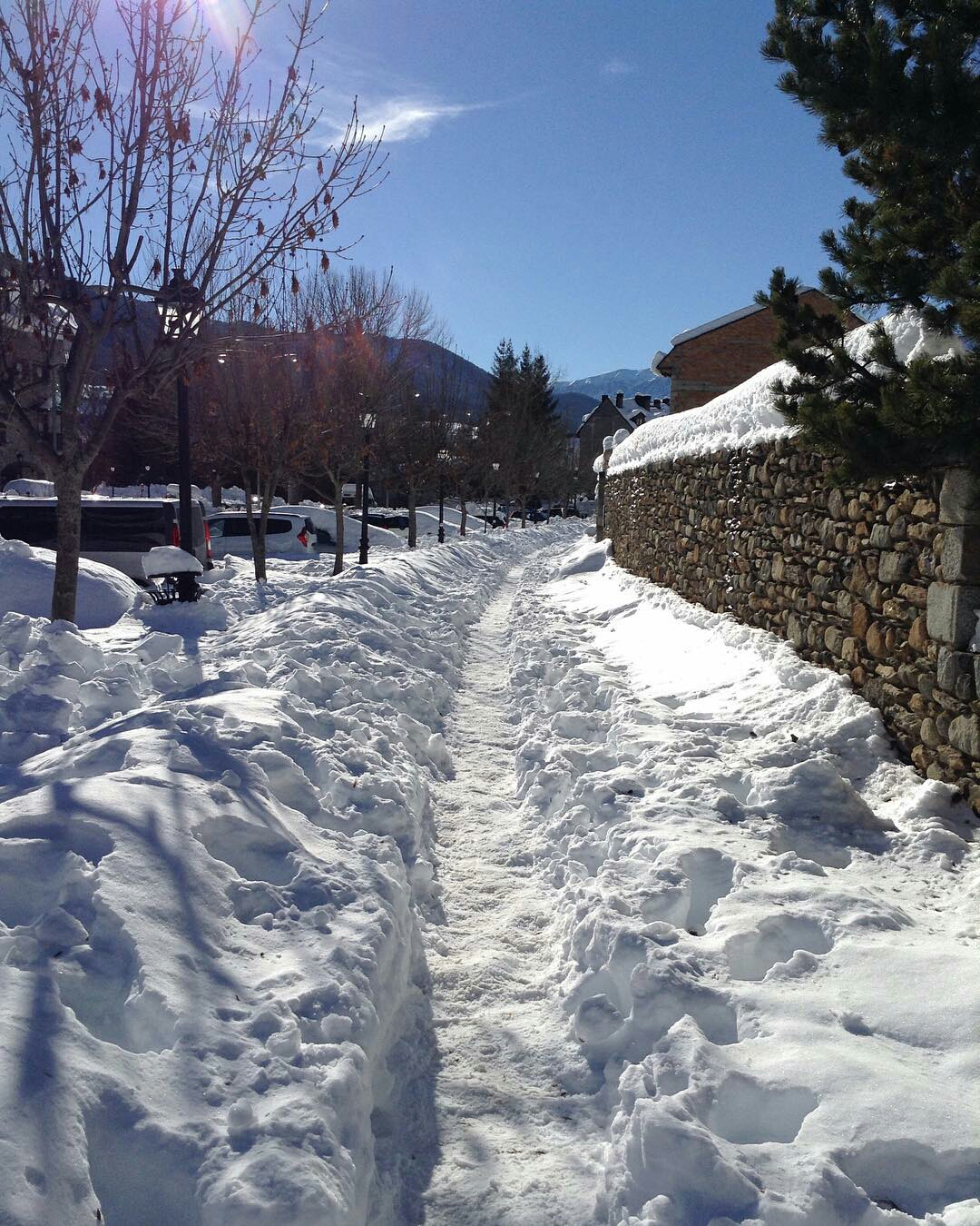 ambar_violeta_-1484821422654