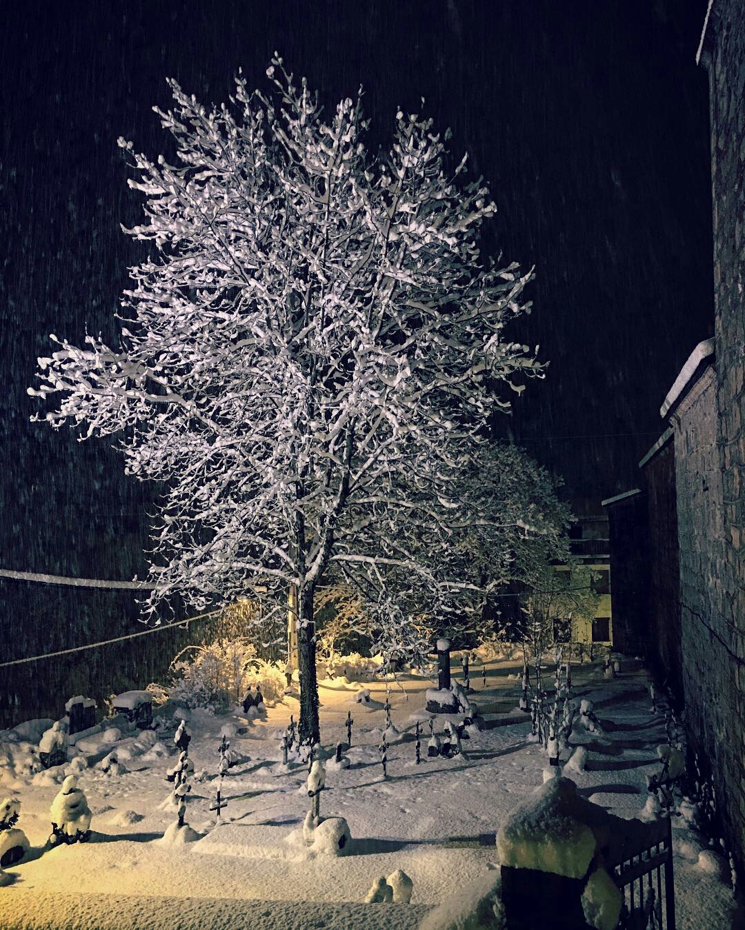 b_vida_-1484643798946