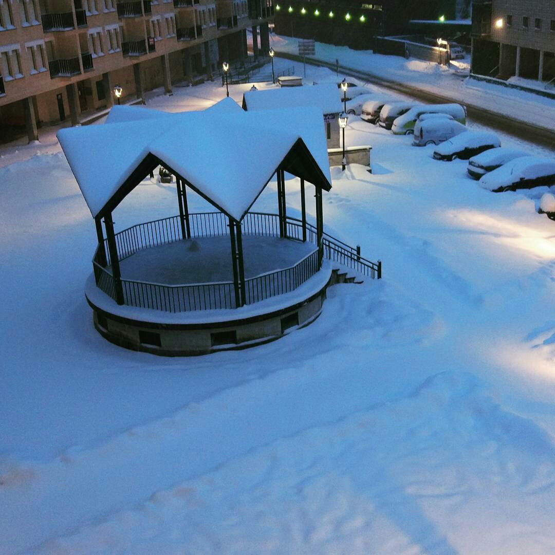 buenoscar-1484641327304