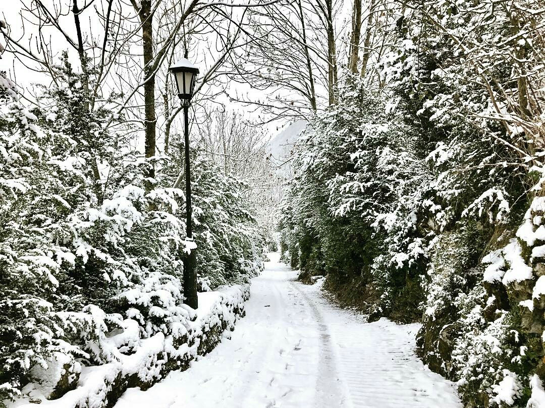 edu_romaqueda-1484643746663