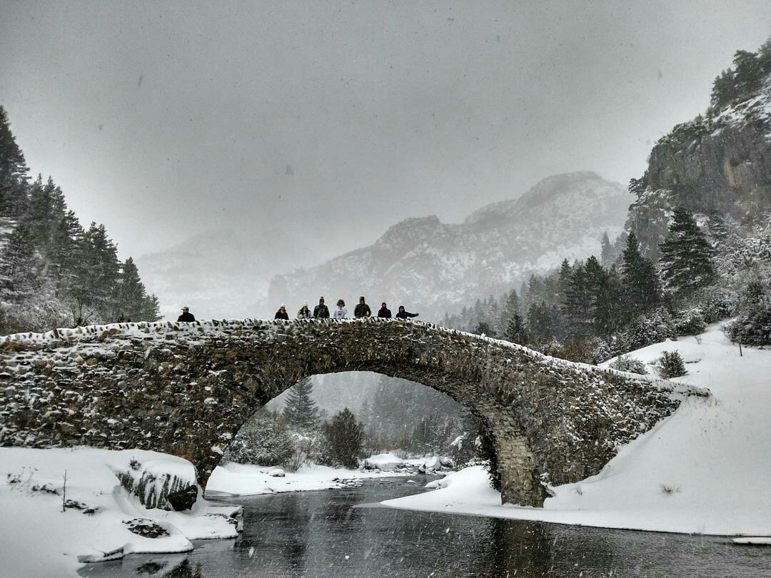 fenaco-1484645510404