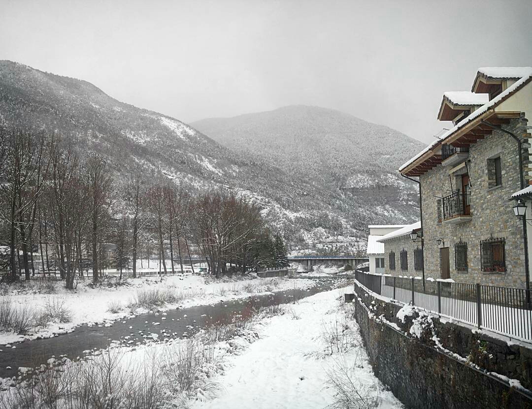 flox-anto-1484643032954