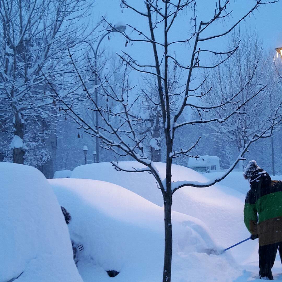 javeca2017-1484573073424