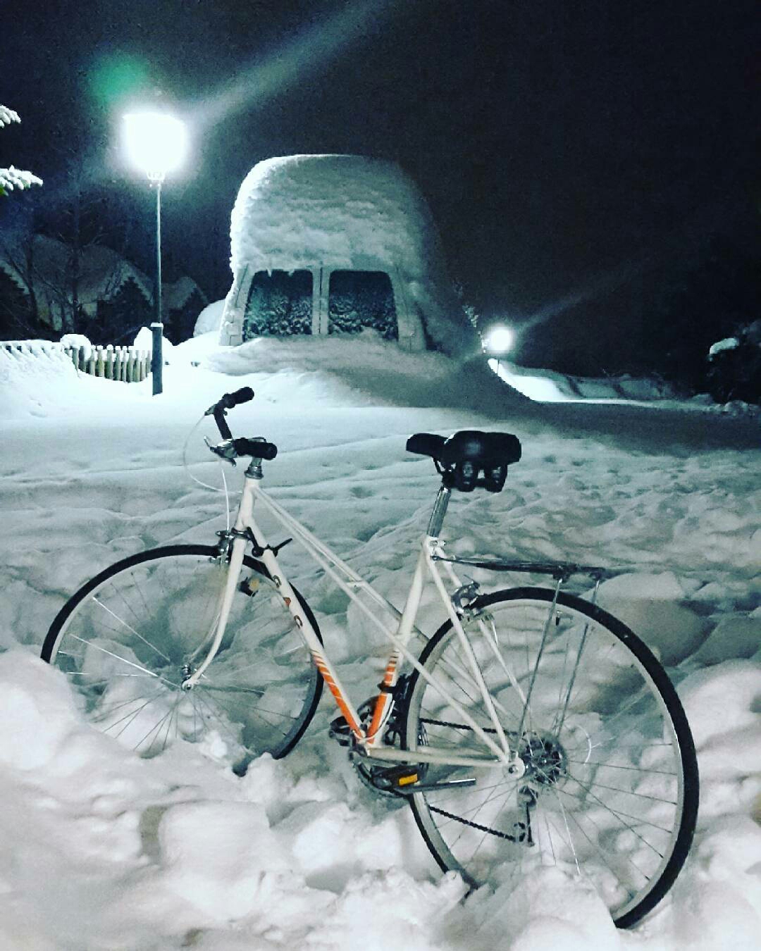 javeca2017-1484640029744