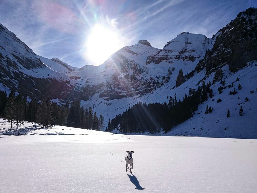 leiaslaw-1484644006562