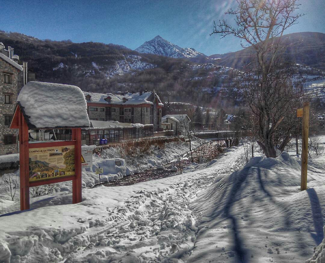 lopezjoakin-1484780825265