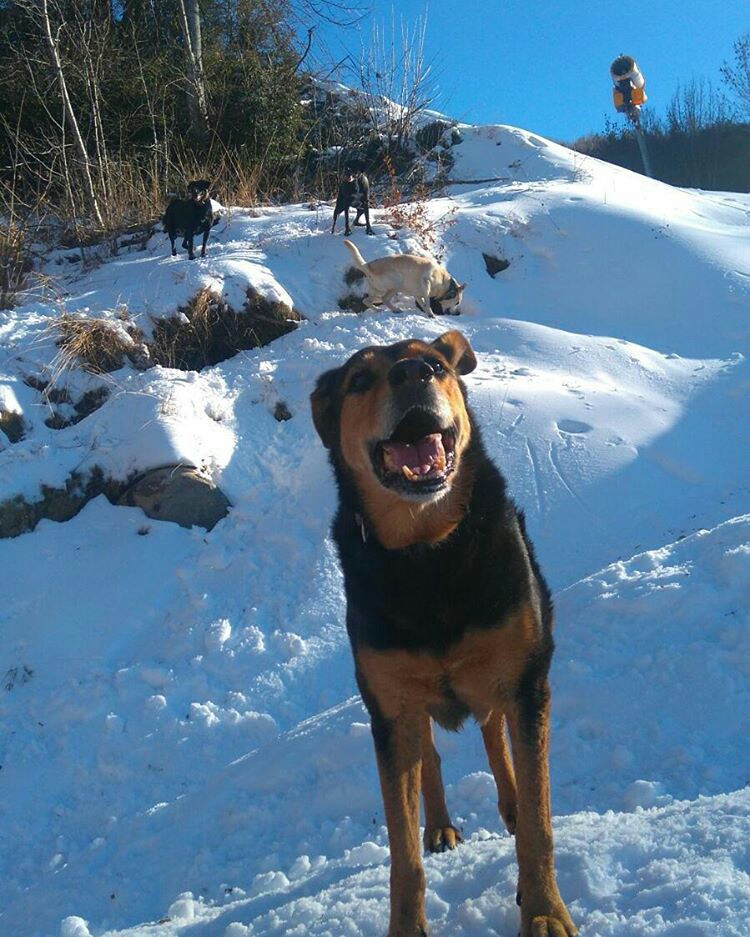 maikapae-1484074531604