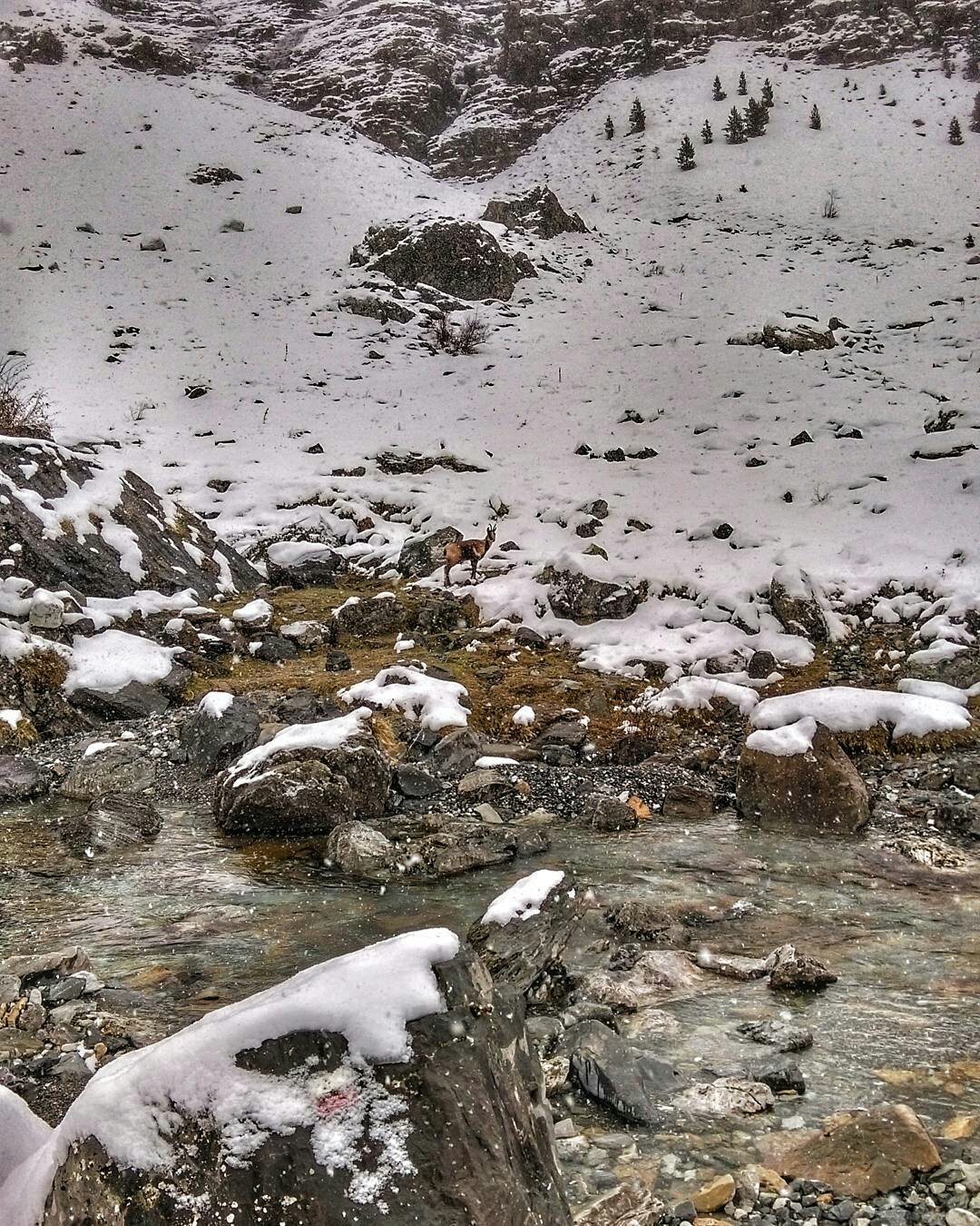 makontro-1484572835277