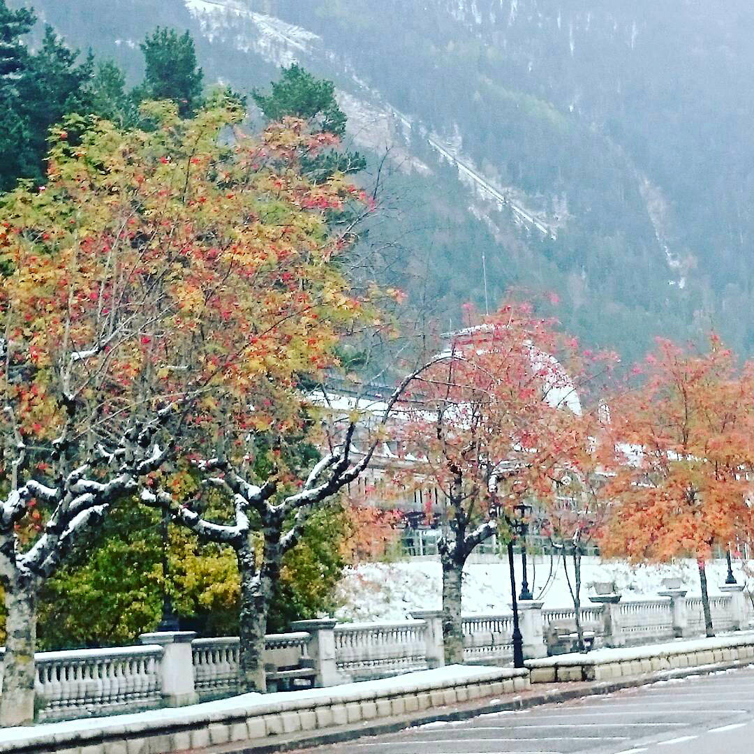 maletse-1478605672213