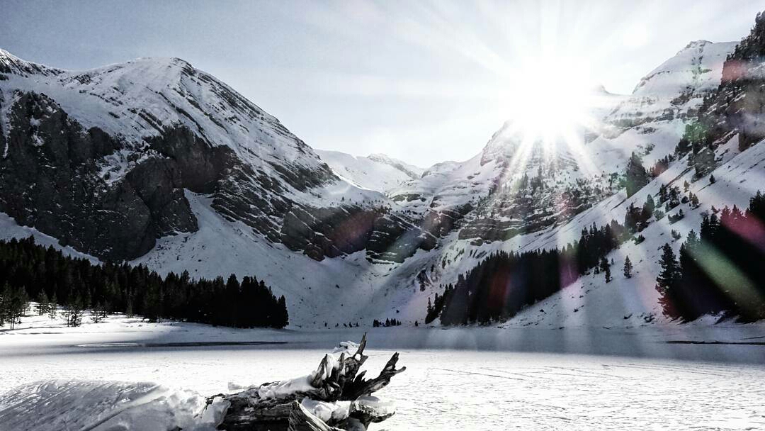 oscarmoyano-1484643946830