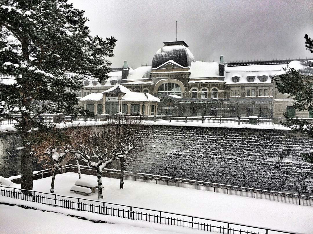 oscaryoyas-1484659246376