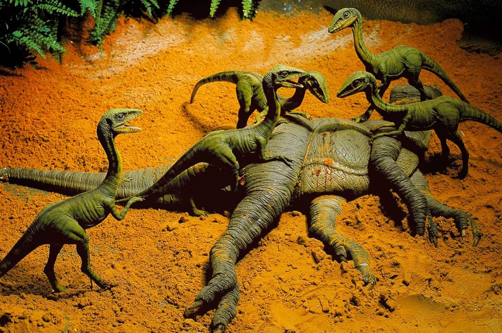 30 Aniversario del Carné Joven Europeo - Dinópolis