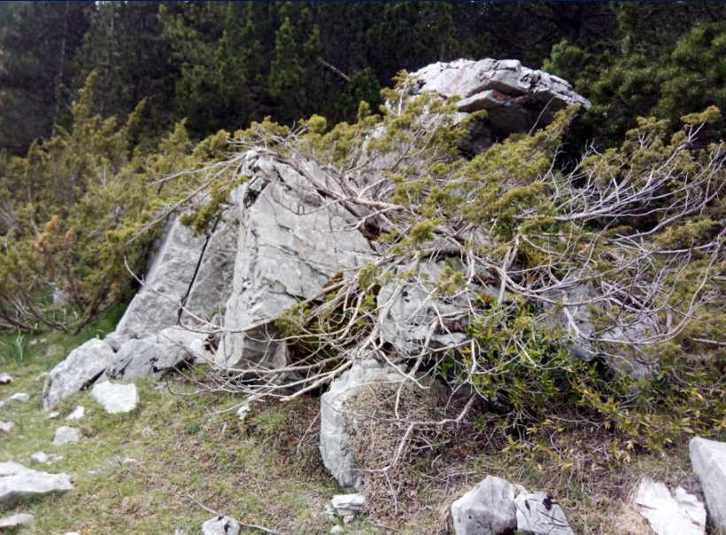Uno de los mayores dólmenes del Pirineo el dólmen de Plan - Jesús Argudo