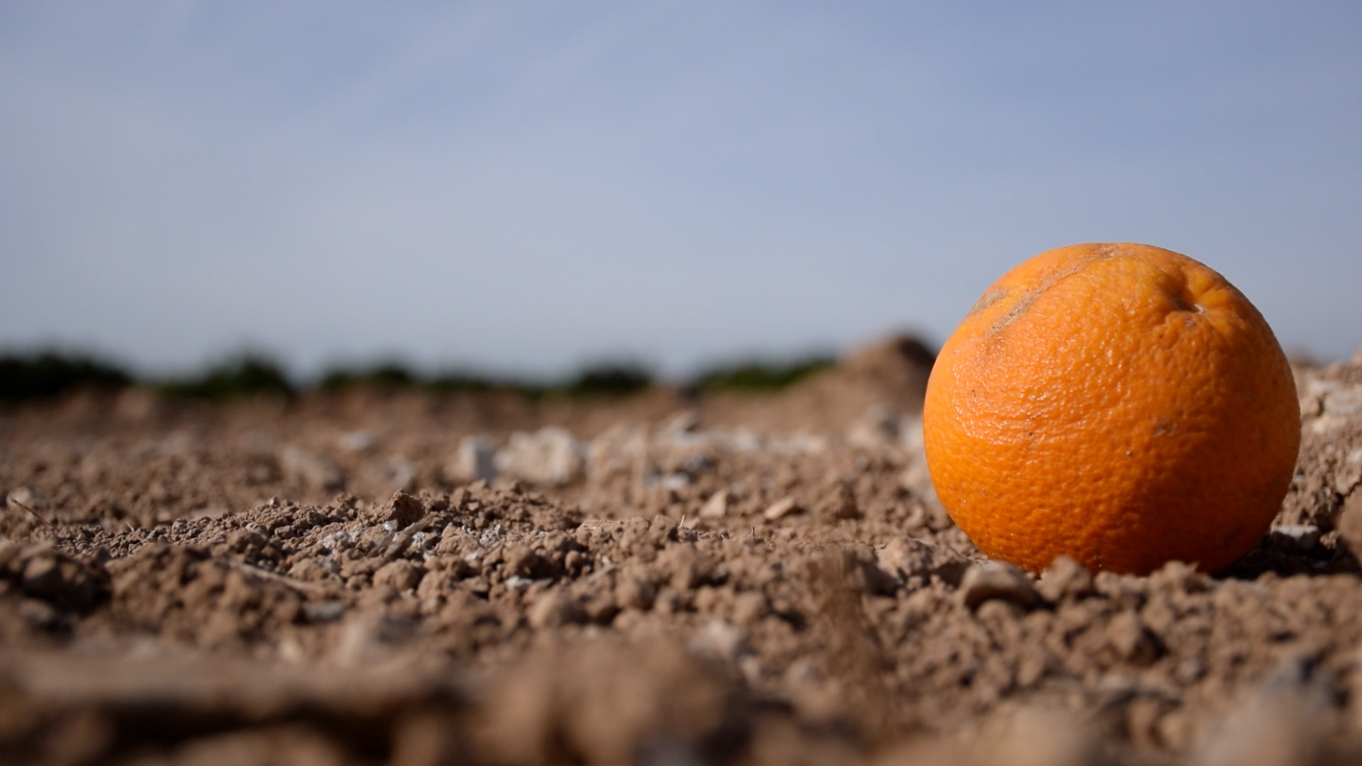 FamdeTerra, de Toni Lucas Garrido