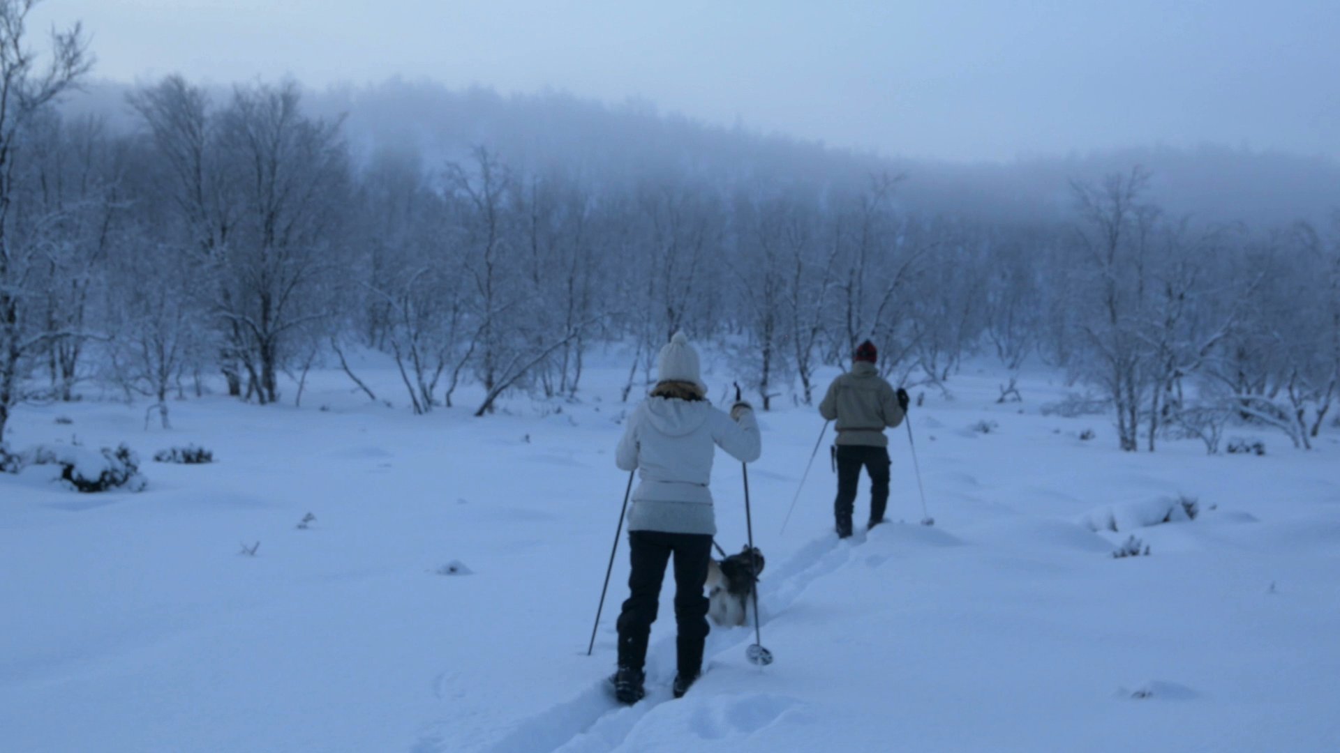 The Polar Silence, de Javier Gómez Bello 